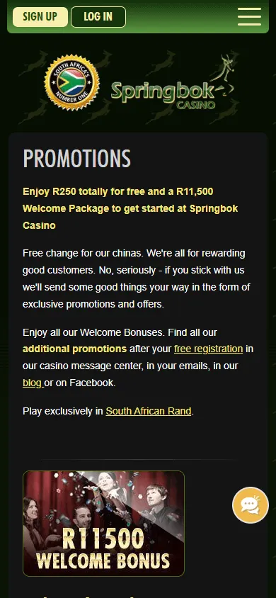 Springbok Casino mobile promotions screen